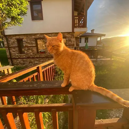 планински кът Holiday home *