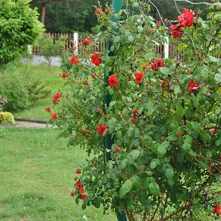 Casa de Férias планински кът