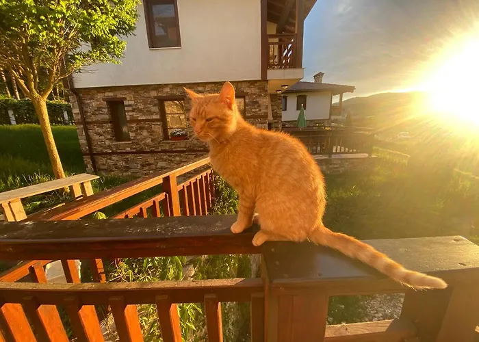 планински кът 度假居 *