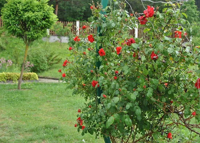 度假居 планински кът